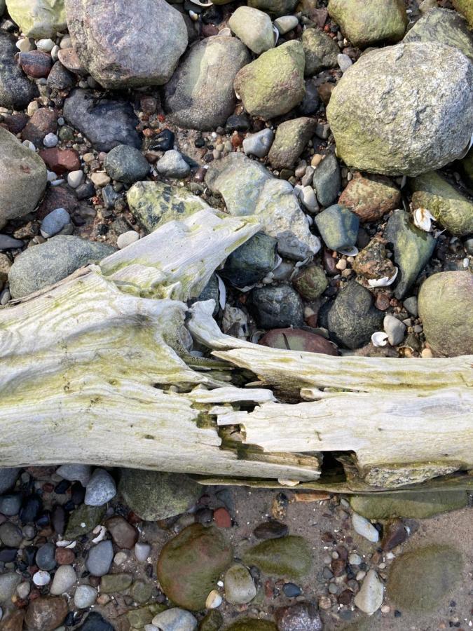 Ich Kenne Ein Haus Am Meer Neuendorf  Eksteriør bilde